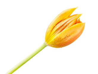 Similar image 1415458