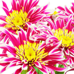 Similar image 1415461