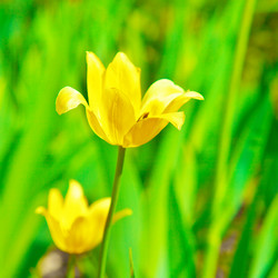 Similar image 1415467