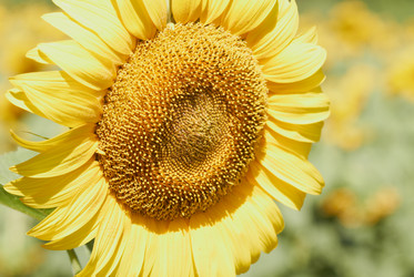 Similar image 1415625