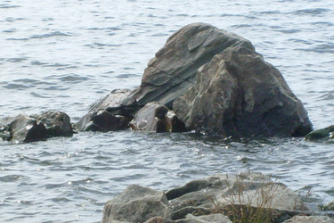 Similar image 1415773