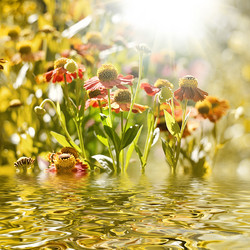 Similar image 1415802