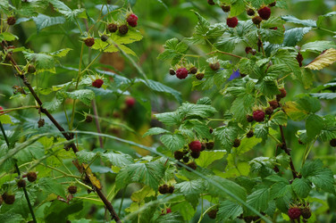 Similar image 1415834