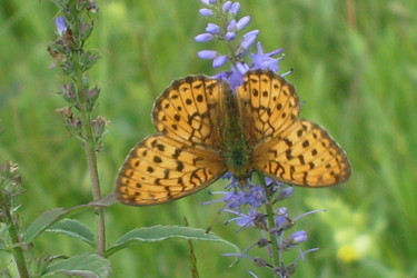 Similar image 1415874