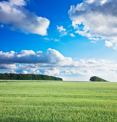 Similar image 1415971