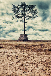 Similar image 1415976