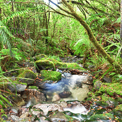 Similar image 1415986