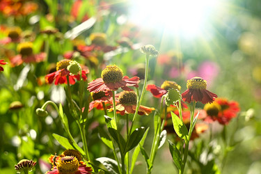 Similar image 1416005