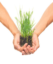 Similar image 1416021