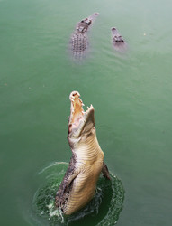 Similar image 1416039