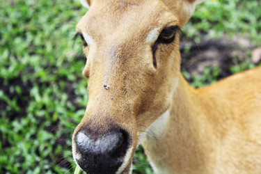 Similar image 1416043