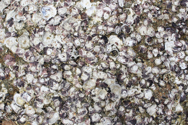 Similar image 1416046