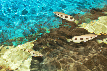 Similar image 1416047