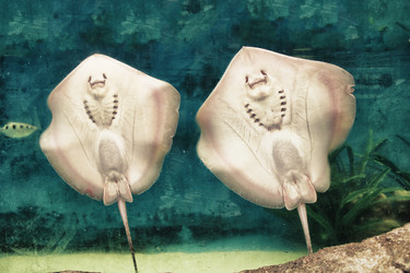 Similar image 1416048