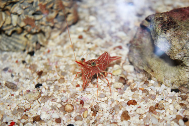 Similar image 1416050