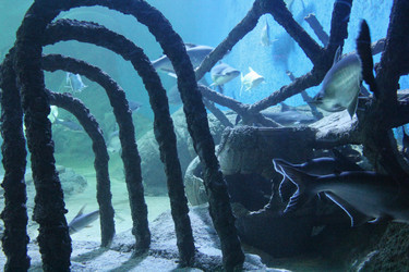 Similar image 1416051