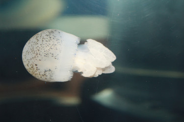 Similar image 1416052