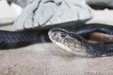 Similar image 1416057