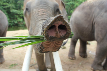 Similar image 1416064