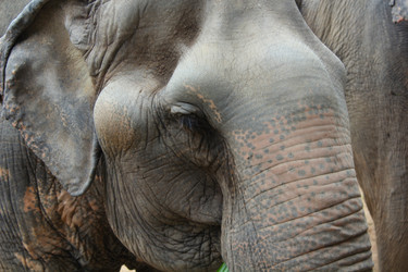 Similar image 1416065