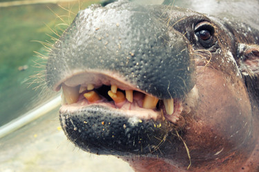 Similar image 1416066