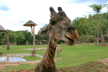 Similar image 1416067