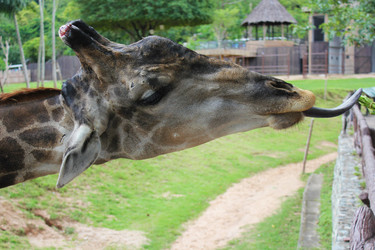 Similar image 1416069