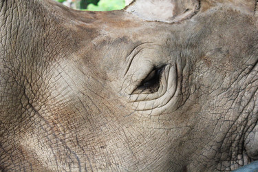 Similar image 1416071