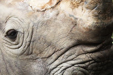 Similar image 1416072