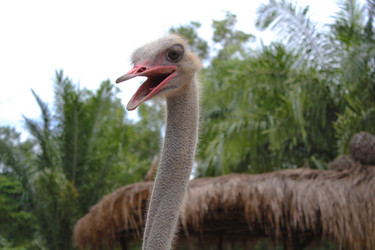 Similar image 1416073