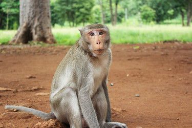 Similar image 1416085