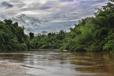 Similar image 1416088