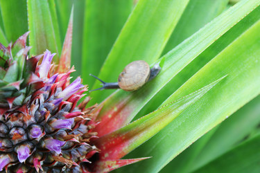 Similar image 1416090