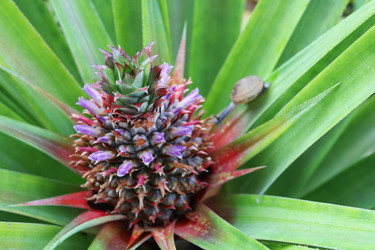 Similar image 1416091