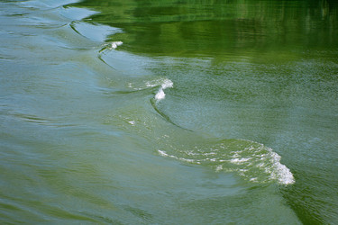 Similar image 1416114