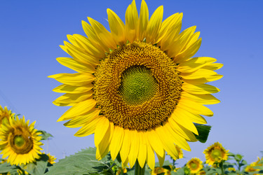 Similar image 1416144