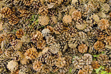 Similar image 1416248