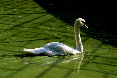 Similar image 1416281