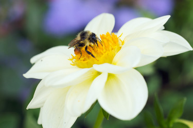 Similar image 1416299