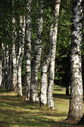 Similar image 1416408