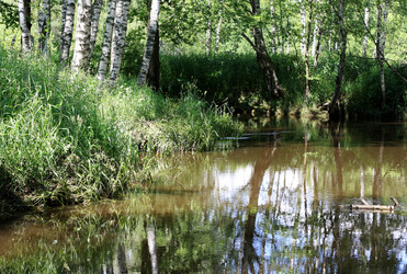 Similar image 1416415