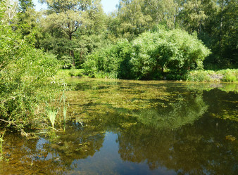 Similar image 1416418