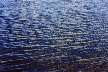 Similar image 1416419