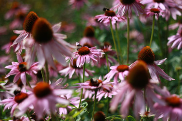 Similar image 1416420