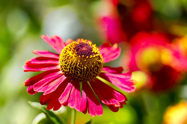 Similar image 1416454