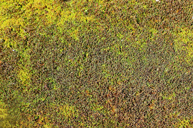 Similar image 1416542