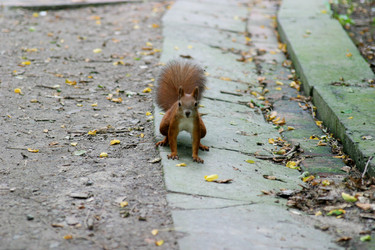 Similar image 1416595