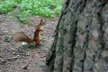 Similar image 1416596