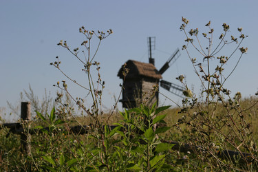 Similar image 1416601