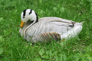 Similar image 1416614